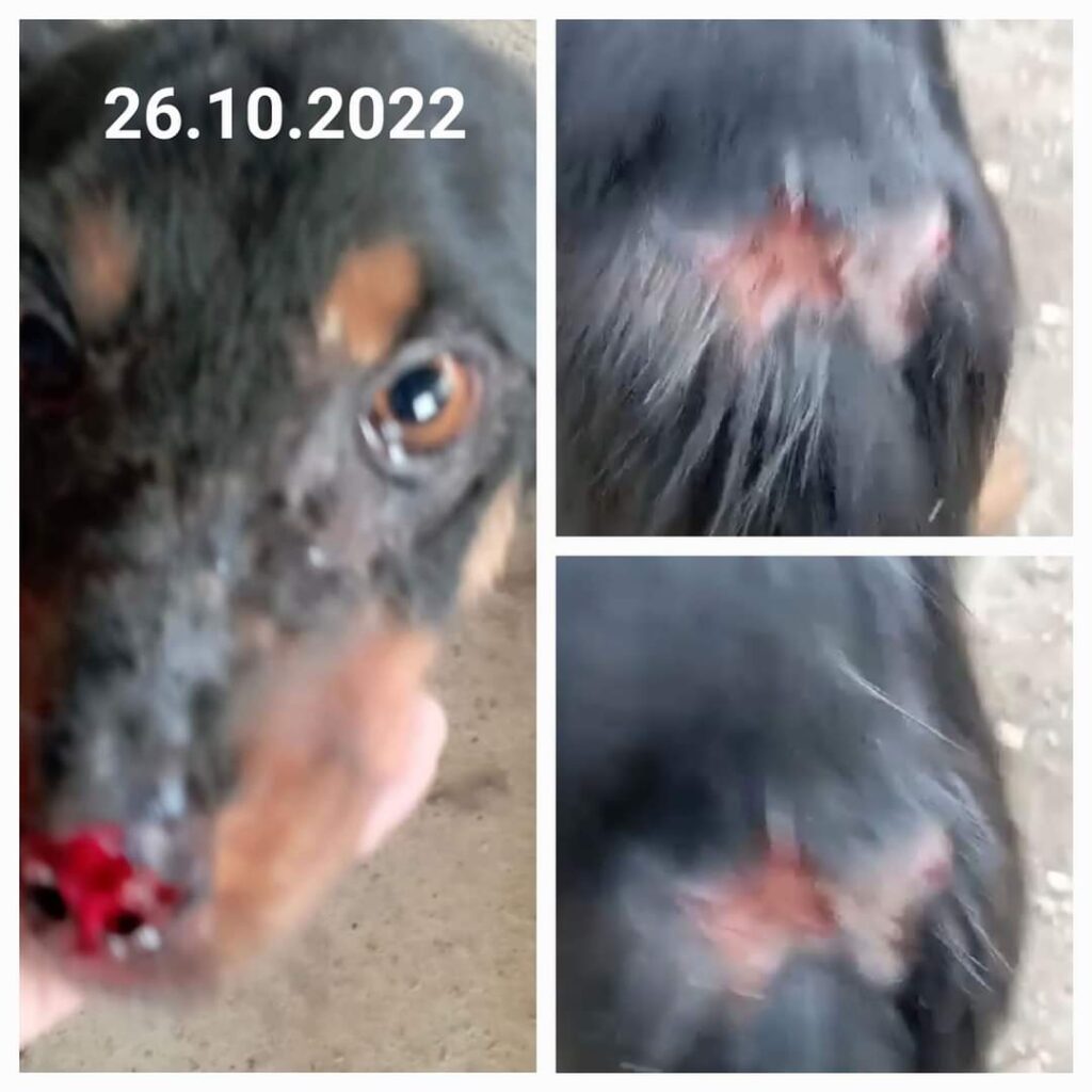 GLUTHATIONUL MAGICIANUL❤ - www.sanatatesibunastare.ro