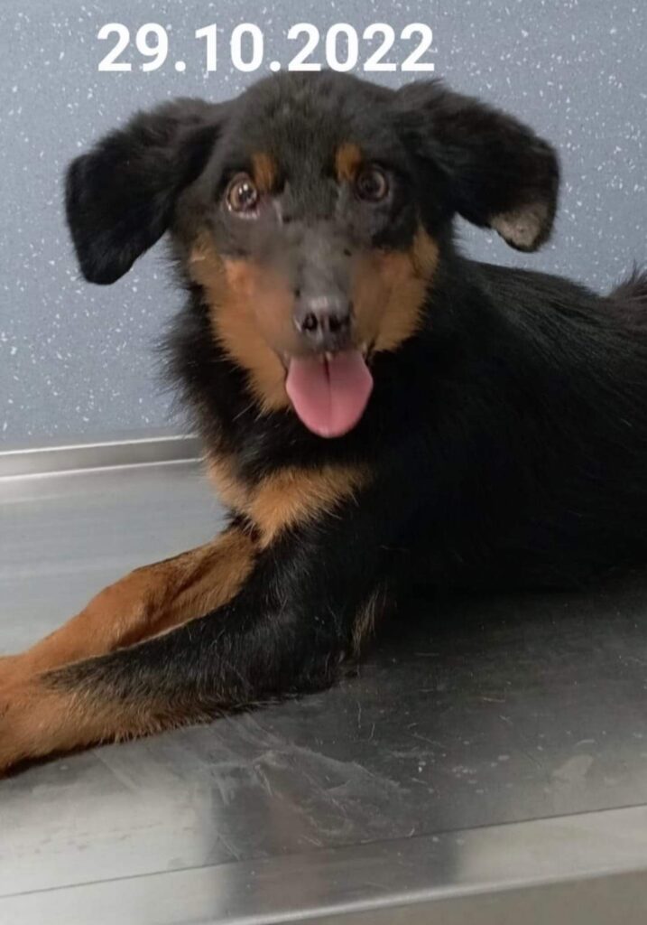 GLUTHATIONUL MAGICIANUL❤ - www.sanatatesibunastare.ro